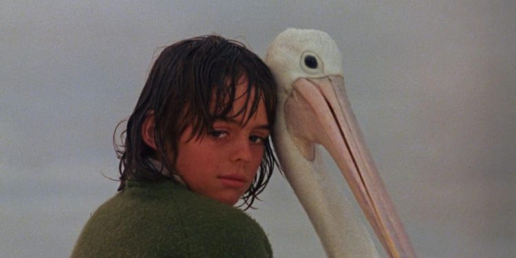 Storm Boy