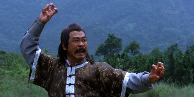 The World of Drunken Master