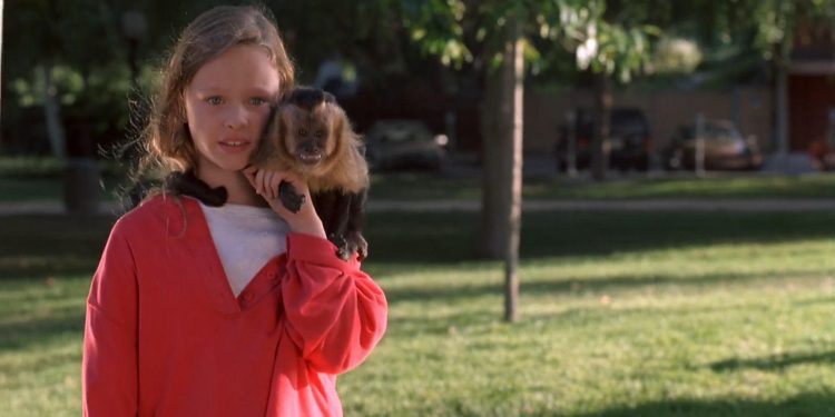Monkey Trouble
