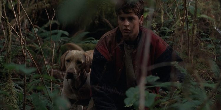 Far from Home: The Adventures of Yellow Dog