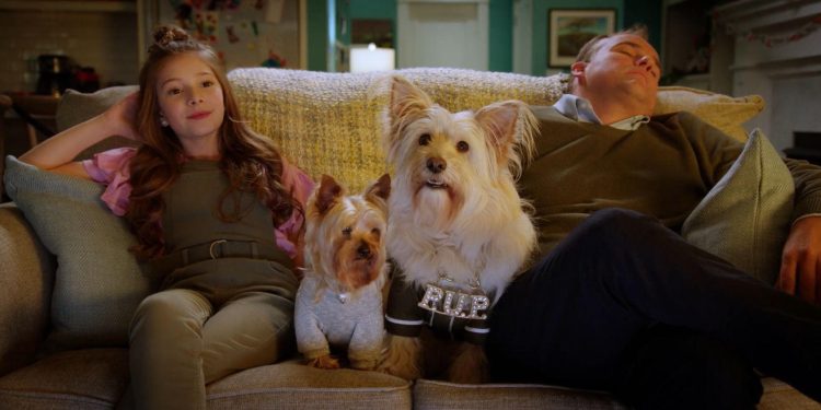 Puppy Star Christmas