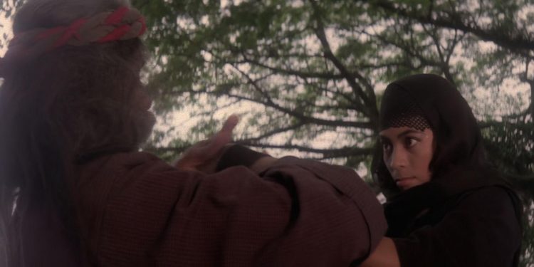 The Warrior and the Ninja