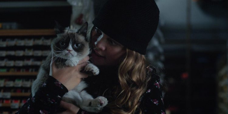 Grumpy Cat’s Worst Christmas Ever