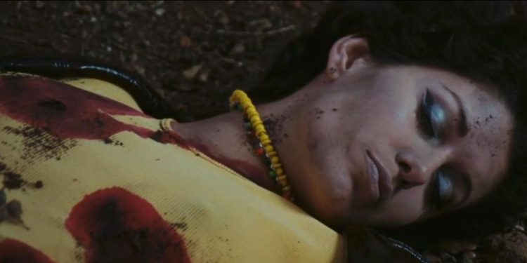 The Bloodstained Butterfly