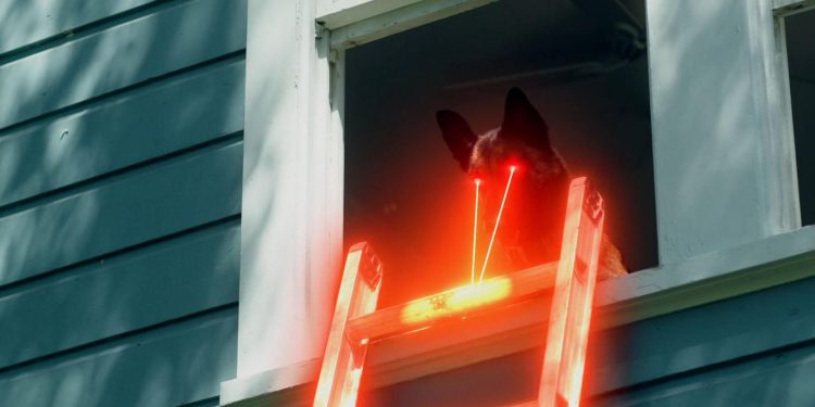 R.A.D.A.R.: The Adventures of the Bionic Dog