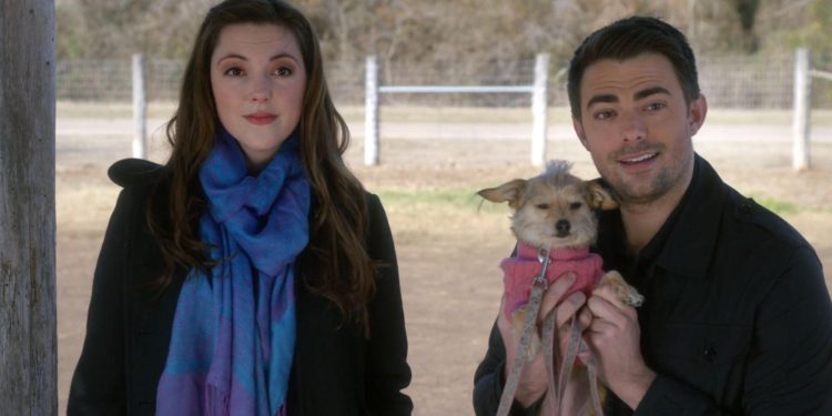 A Dogwalker’s Christmas Tale