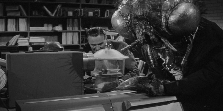Return of the Fly
