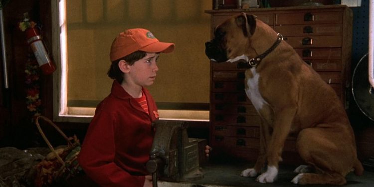 Good Boy!