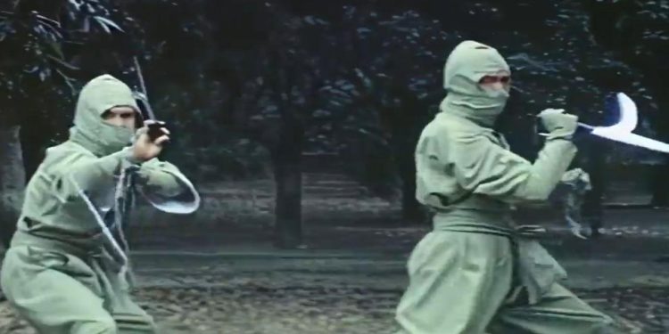 Ninja In The Deadly Trap