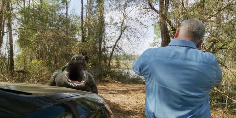 Attack of the Meth Gator