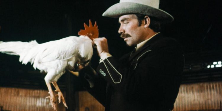 Supercock