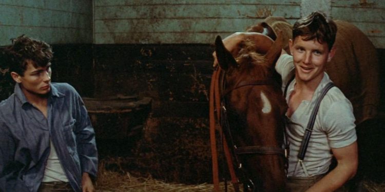 Phar Lap