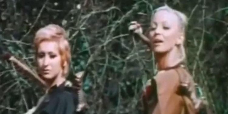 Battle of the Amazons