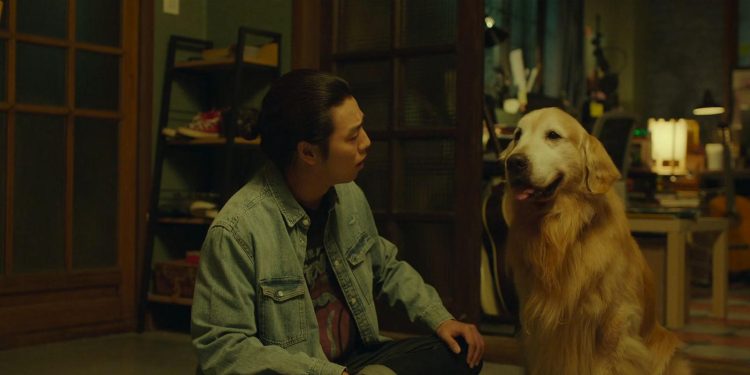 Dog Days