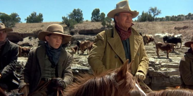 The Cowboys
