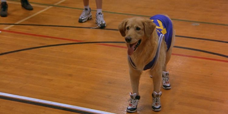 Air Bud