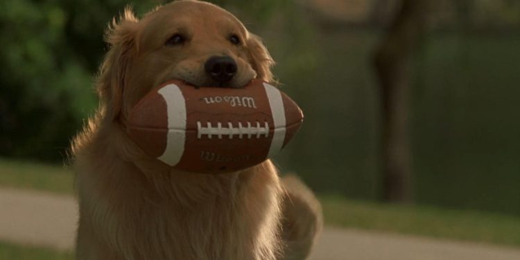 Air Bud: Golden Receiver