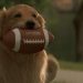 Air Bud: World Pup