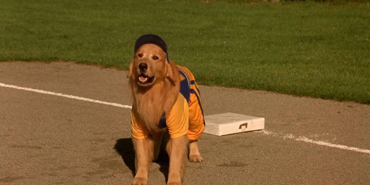 Air Bud: Seventh Inning Fetch