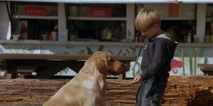 Air Bud: Spikes Back