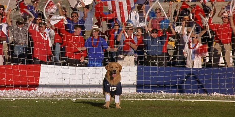 Air Bud: World Pup