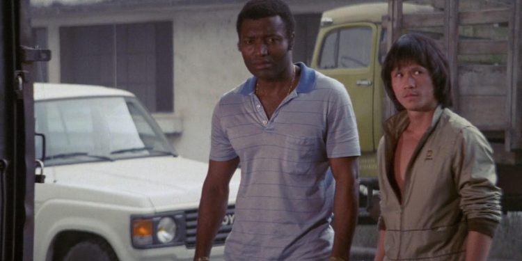 Cameroon Connection