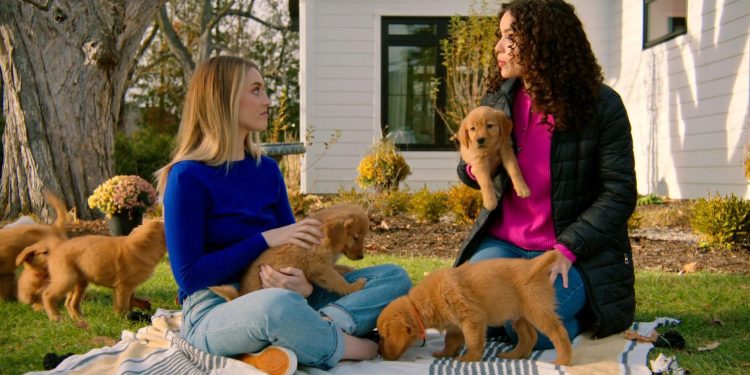Everything Puppies