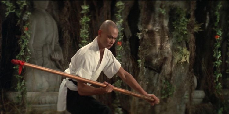 The 8 Diagram Pole Fighter