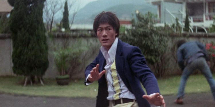 Goodbye Bruce Lee: His Last Game of Death