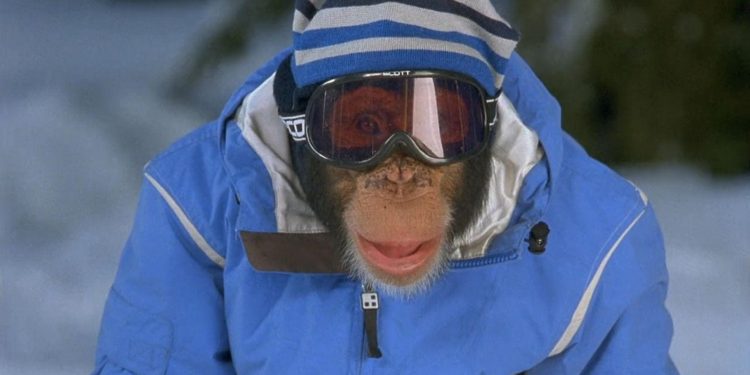MXP: Most Xtreme Primate