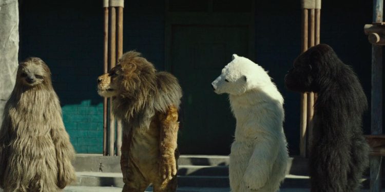 Secret Zoo