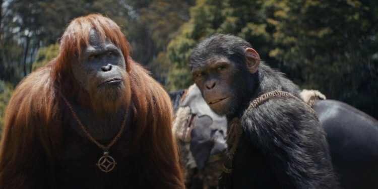 Kingdom of the Planet of the Apes
