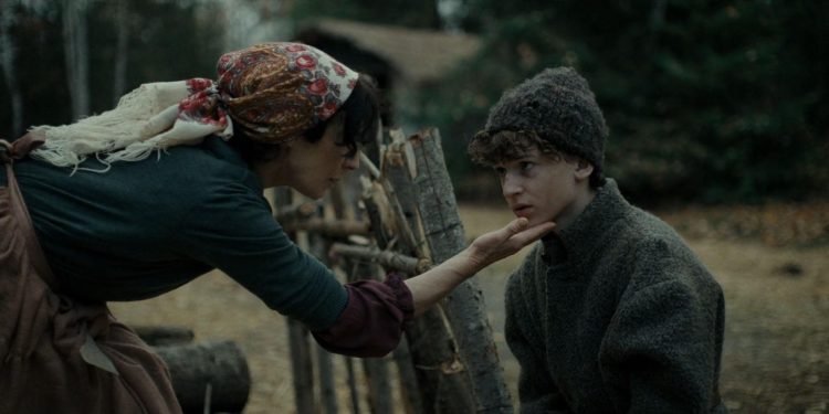 The Boy in the Woods