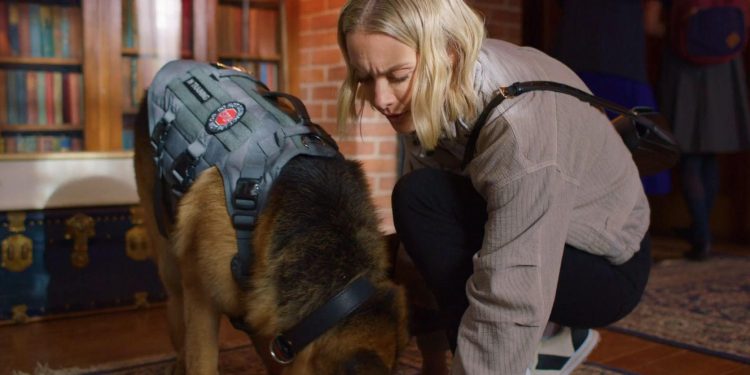 Jazz Ramsey: A K-9 Mystery