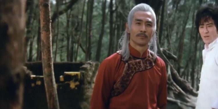Shaolin Kung Fu Master
