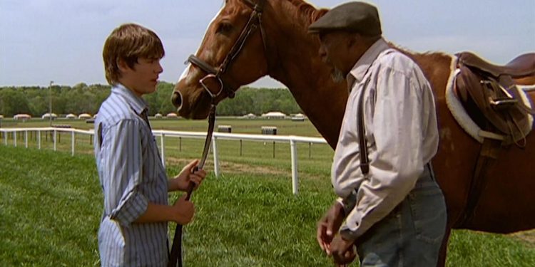 The Derby Stallion