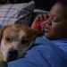 Lucky Dog