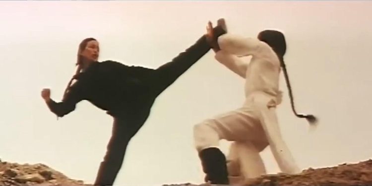 Young Hero of Shaolin