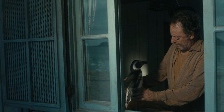 My Penguin Friend