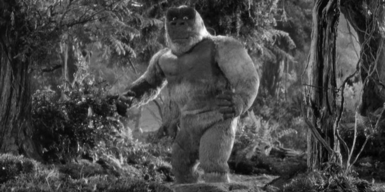 The Son of Kong