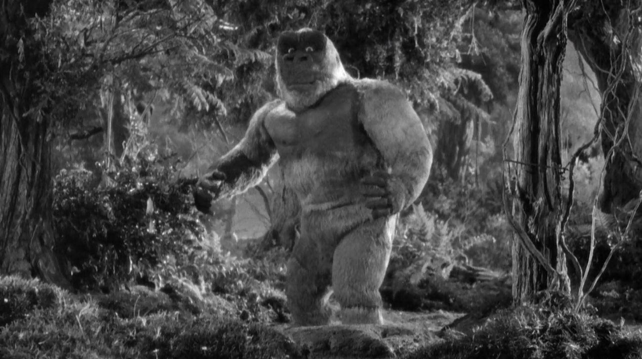 Best Films About King Kong