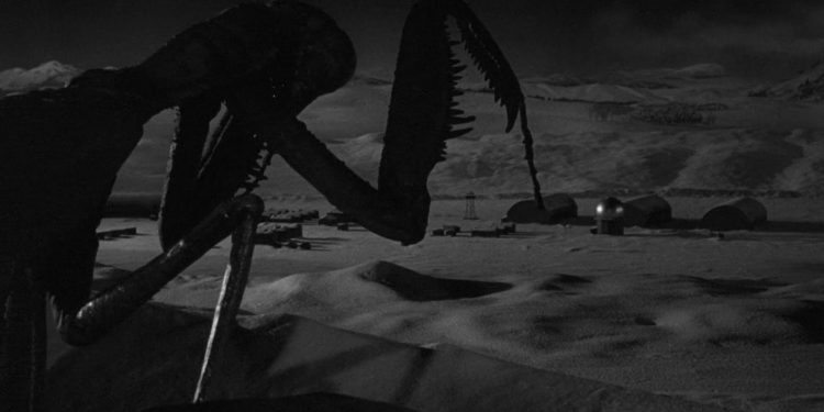 The Deadly Mantis