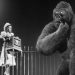 The Monster X Strikes Back: Attack the G8 Summit