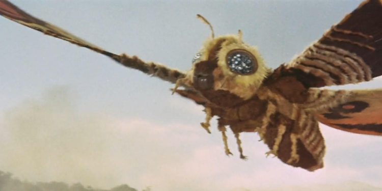 Mothra vs. Godzilla