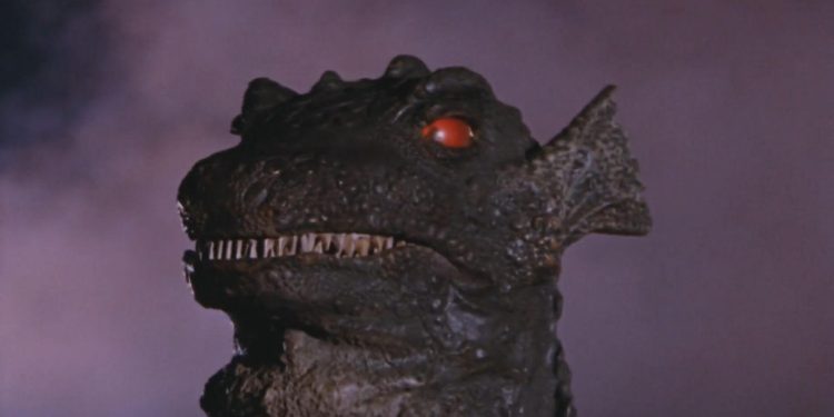 Gorgo