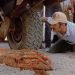 Top Eco-Horror Films You Haven't Seen - 1990's