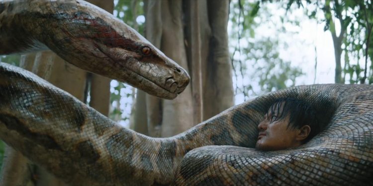 Anaconda