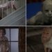 The 25 Creepiest Scenes from 1970s Horror Films