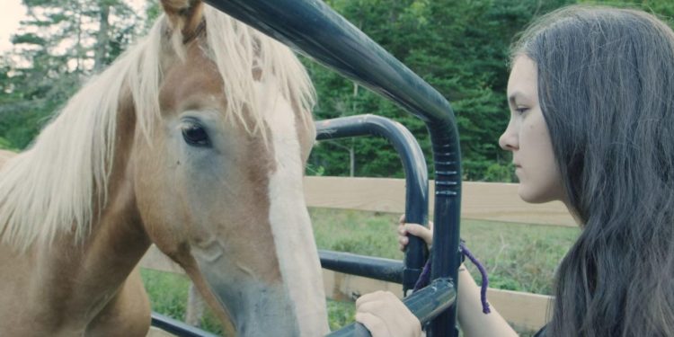 Hearts &amp; Horses
