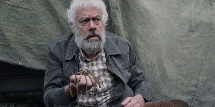 Schlitter: Evil in the Woods